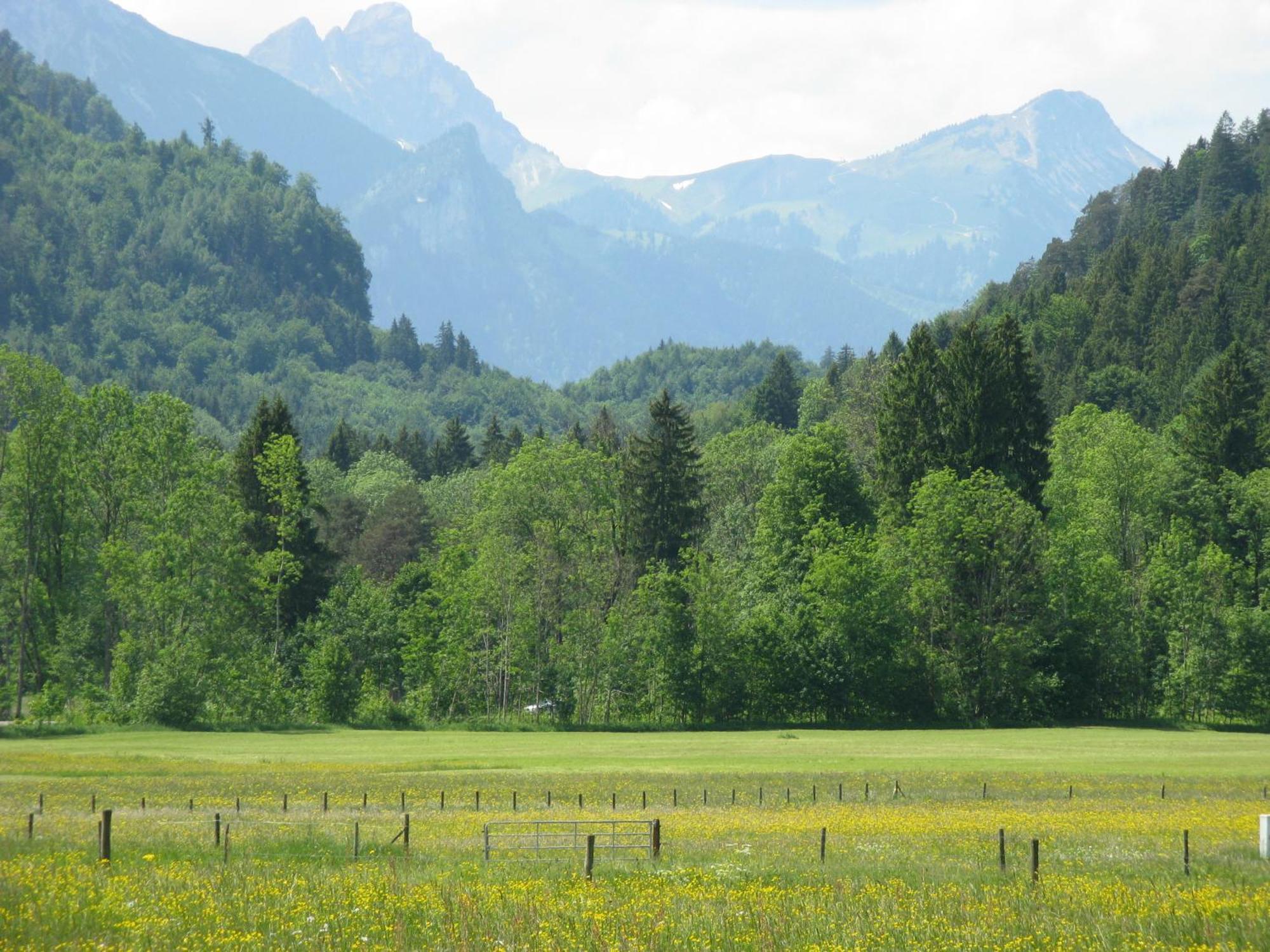 Alpenhotel Allgaeu Hohenschwangau Eksteriør billede
