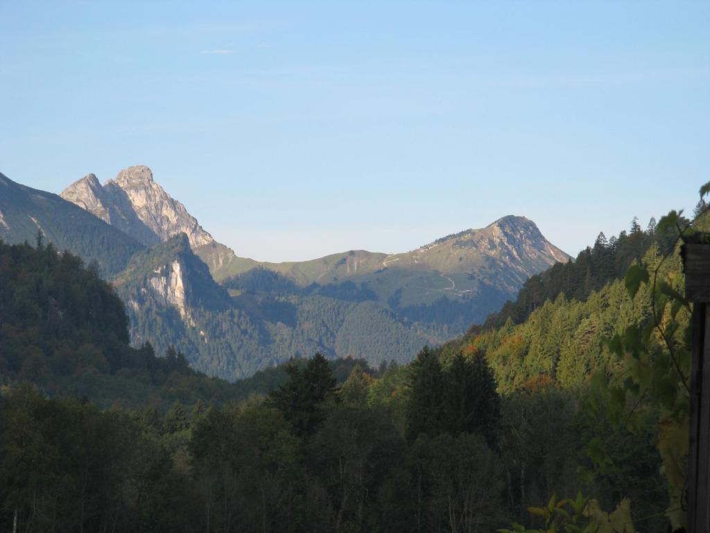Alpenhotel Allgaeu Hohenschwangau Eksteriør billede